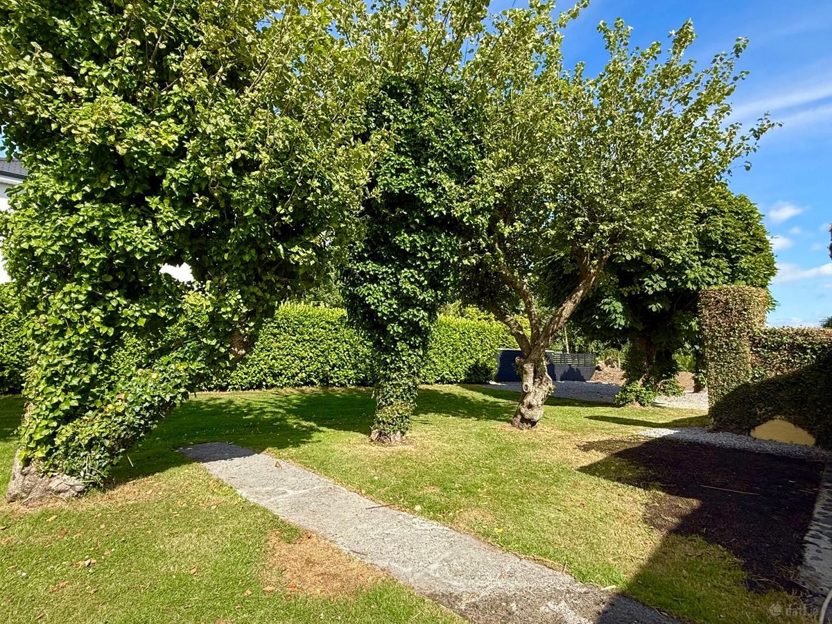 Historic Irish Thatched Cottage For Sale: Dalgan, Shrule, Bunnafollistran, Co. Mayo