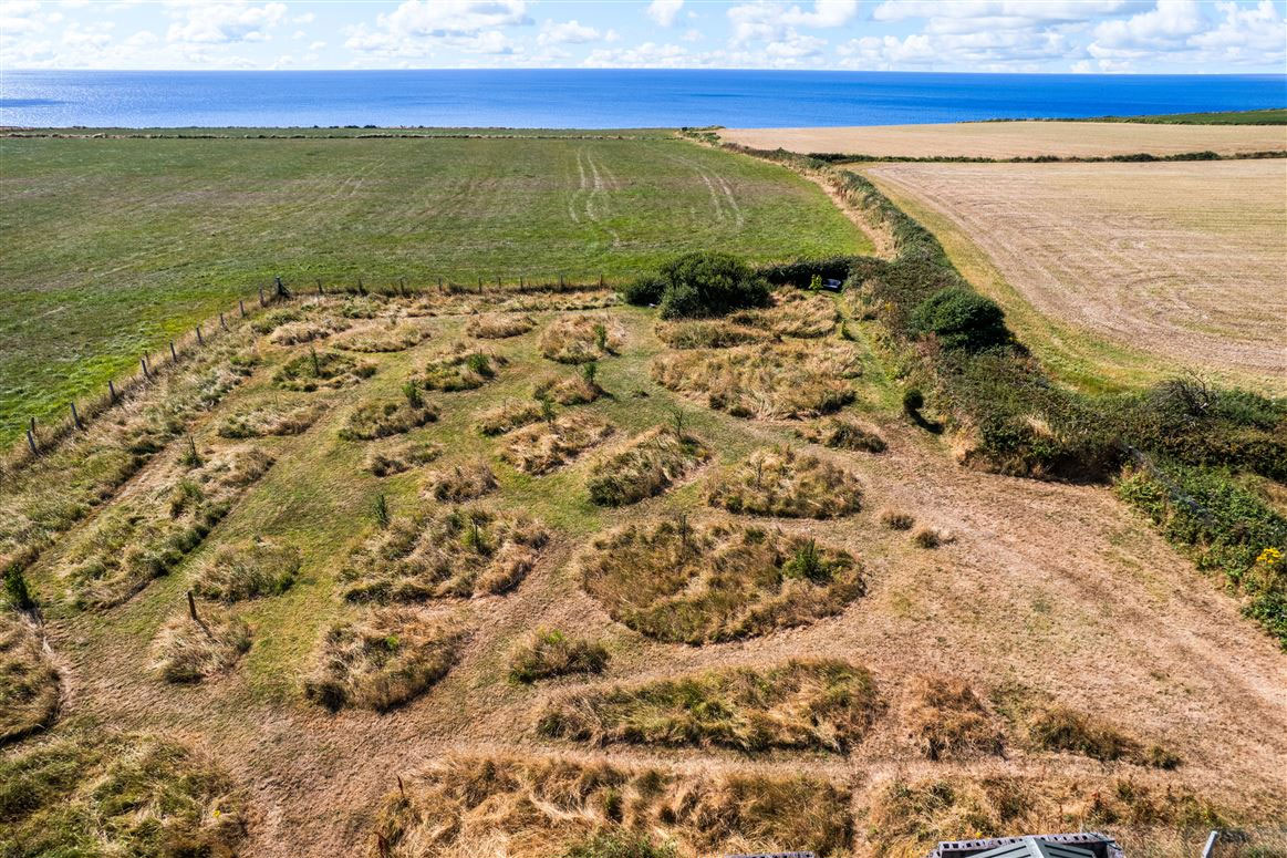 Coastal Plot With Ruins For Sale: Lahard, Whitegate, Co. Cork