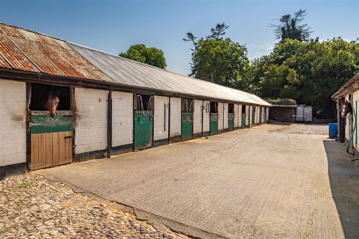 Classic Country Estate For Sale: Rahinstown Estate, Summerhill, Co. Meath