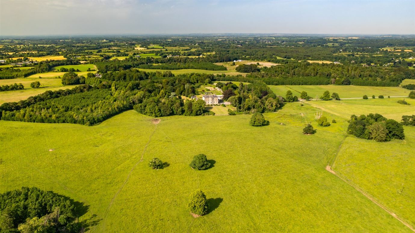 Classic Country Estate For Sale: Rahinstown Estate, Summerhill, Co. Meath