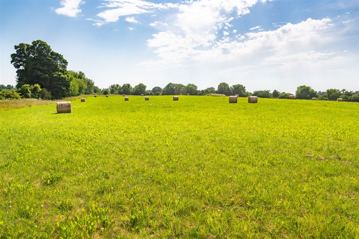 Classic Country Estate For Sale: Rahinstown Estate, Summerhill, Co. Meath