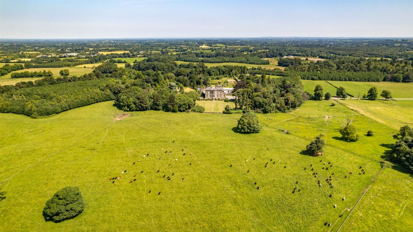 Classic Country Estate For Sale: Rahinstown Estate, Summerhill, Co. Meath