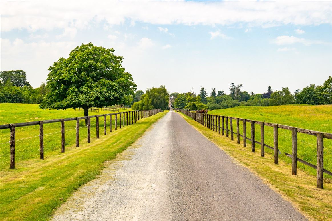 Classic Country Estate For Sale: Rahinstown Estate, Summerhill, Co. Meath