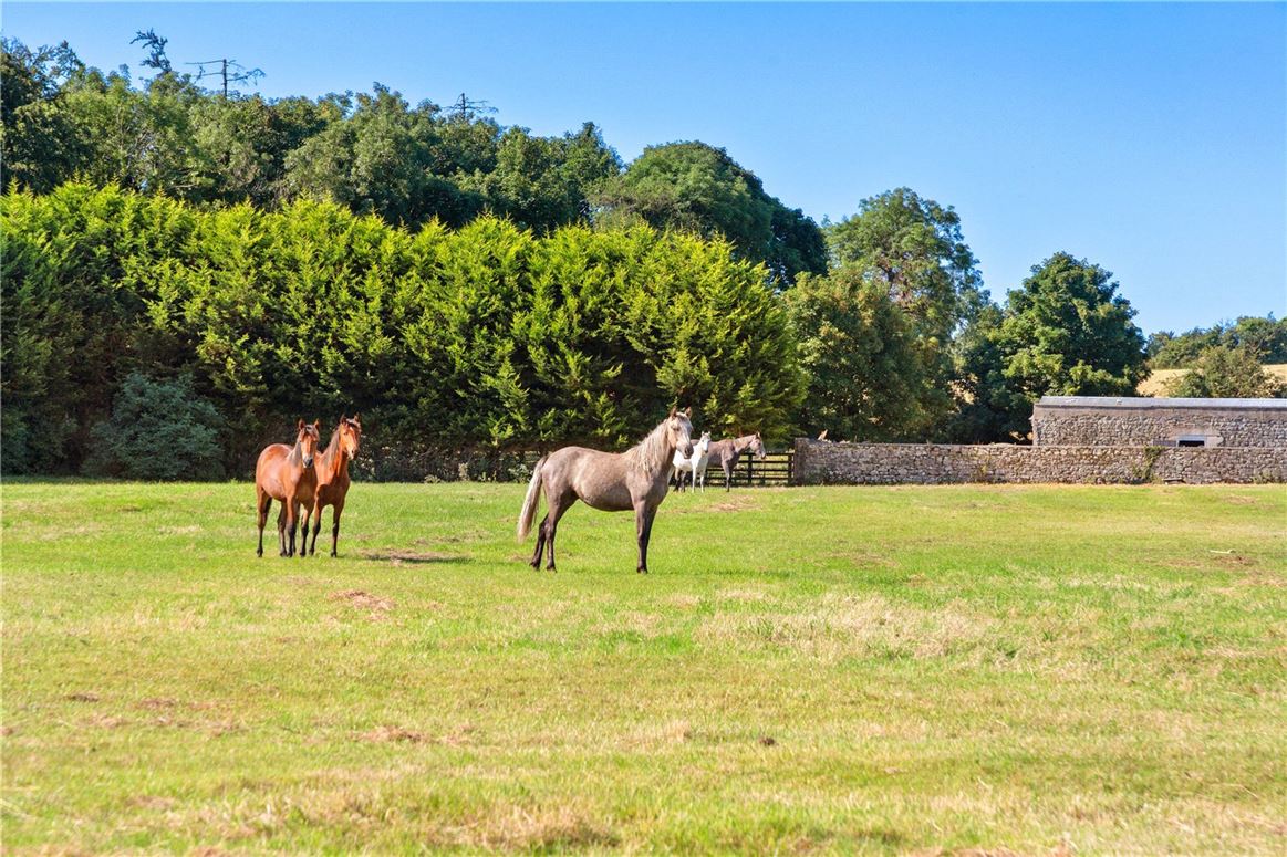 Period Residence For Sale: Rathcline House and Farm, Rathcline, Lanesborough, Co. Longford