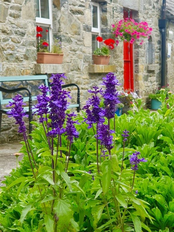 Thatched Cottage For Sale: Tearmann, Castlekieran, Carnaross, Co. Meath