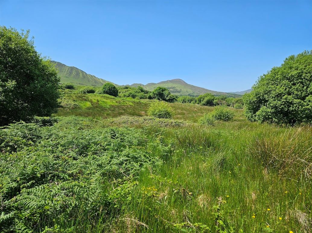Farmhouse For Sale: Derreenavurrig, Sneem, Co. Kerry