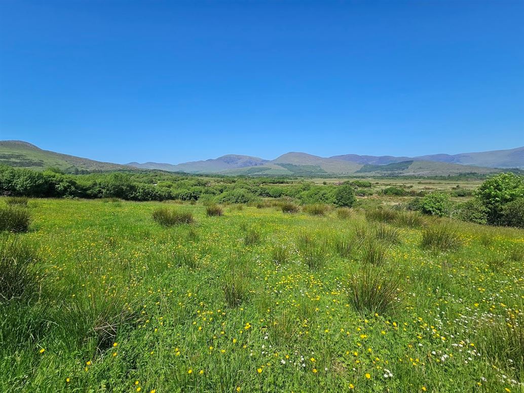 Farmhouse For Sale: Derreenavurrig, Sneem, Co. Kerry