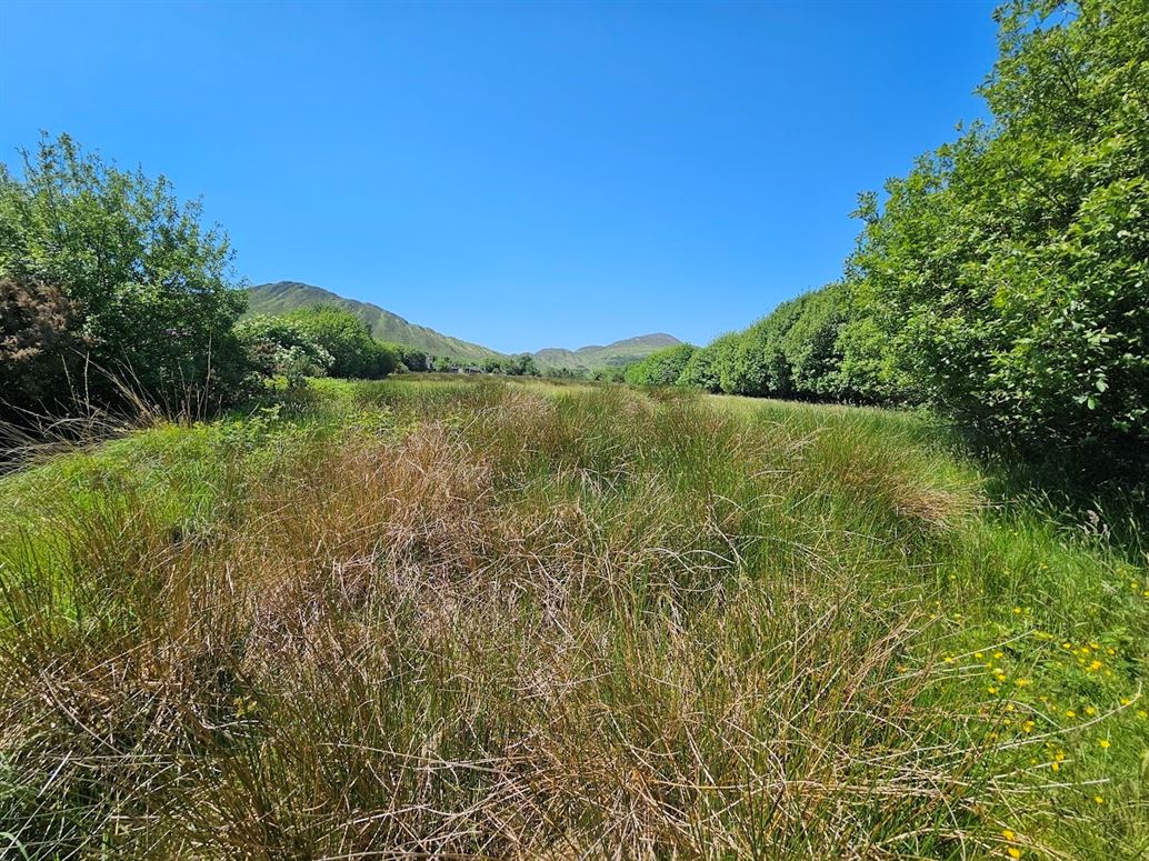 Farmhouse For Sale: Derreenavurrig, Sneem, Co. Kerry