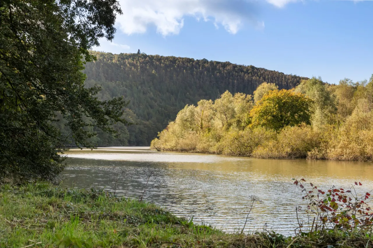 Secluded Estate For Sale: Dysertmore Estate, Inistioge, Co. Kilkenny