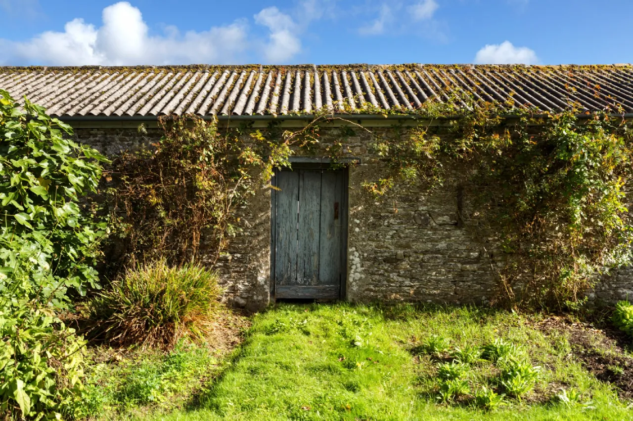 Secluded Estate For Sale: Dysertmore Estate, Inistioge, Co. Kilkenny