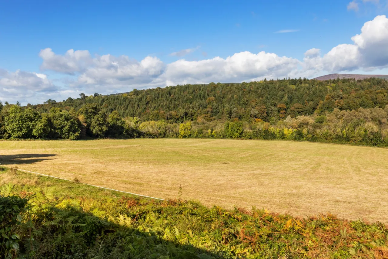 Secluded Estate For Sale: Dysertmore Estate, Inistioge, Co. Kilkenny