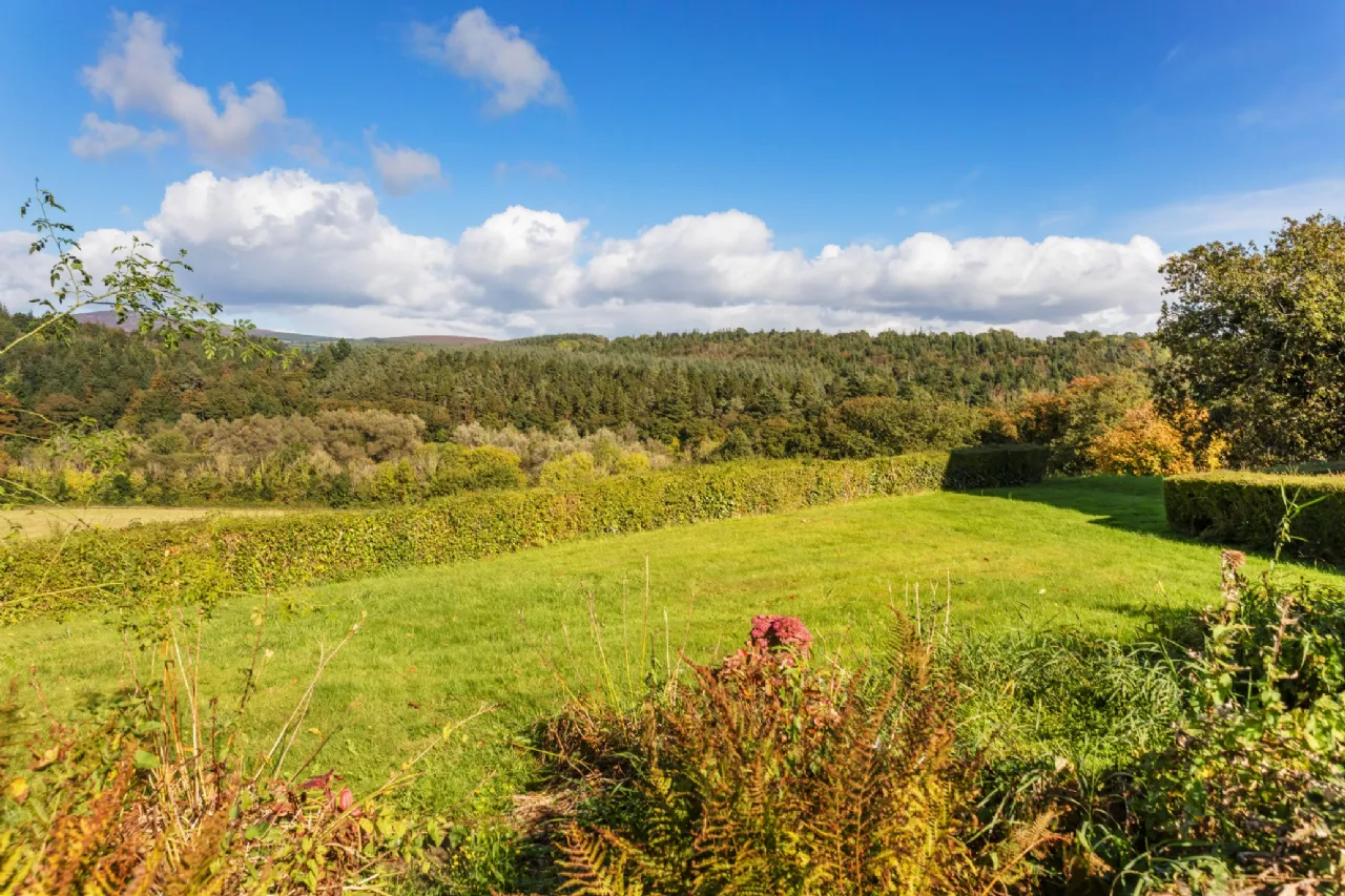 Secluded Estate For Sale: Dysertmore Estate, Inistioge, Co. Kilkenny