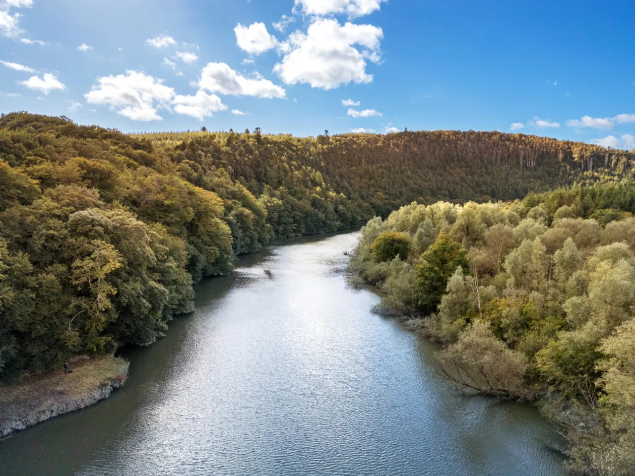 Secluded Estate For Sale: Dysertmore Estate, Inistioge, Co. Kilkenny