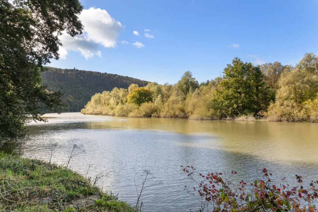 Secluded Estate For Sale: Dysertmore Estate, Inistioge, Co. Kilkenny