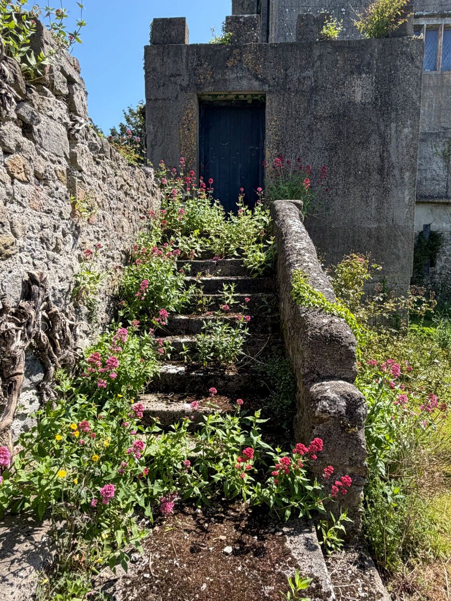 Irish Castle For Sale: Emmel Castle, Emmel, Cloughjordan, Co. Tipperary