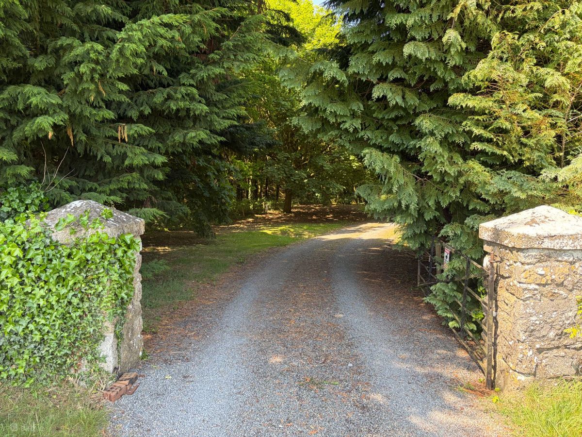 Irish Castle For Sale: Emmel Castle, Emmel, Cloughjordan, Co. Tipperary