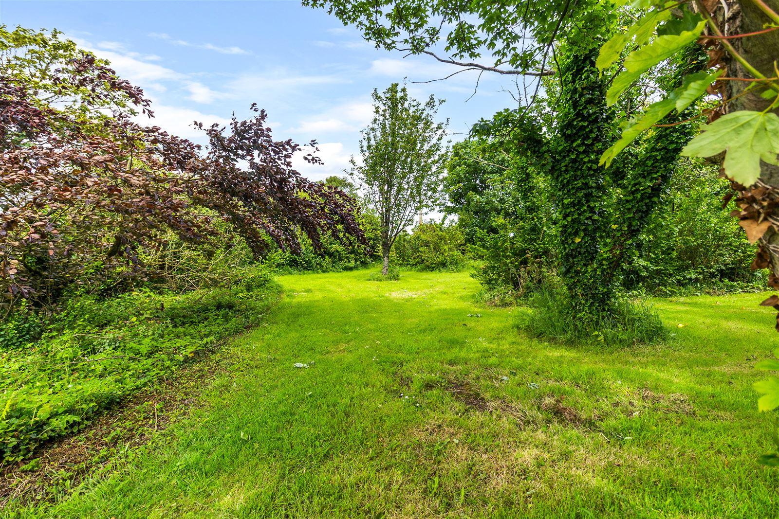 Thatched Cottage For Sale: Fairgreen Cottage, Cooladerra, Ballymacoda, Co. Cork