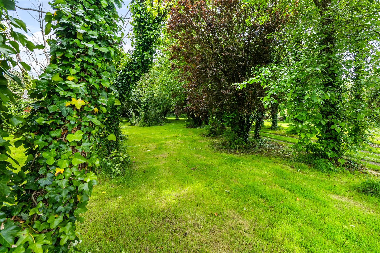 Thatched Cottage For Sale: Fairgreen Cottage, Cooladerra, Ballymacoda, Co. Cork