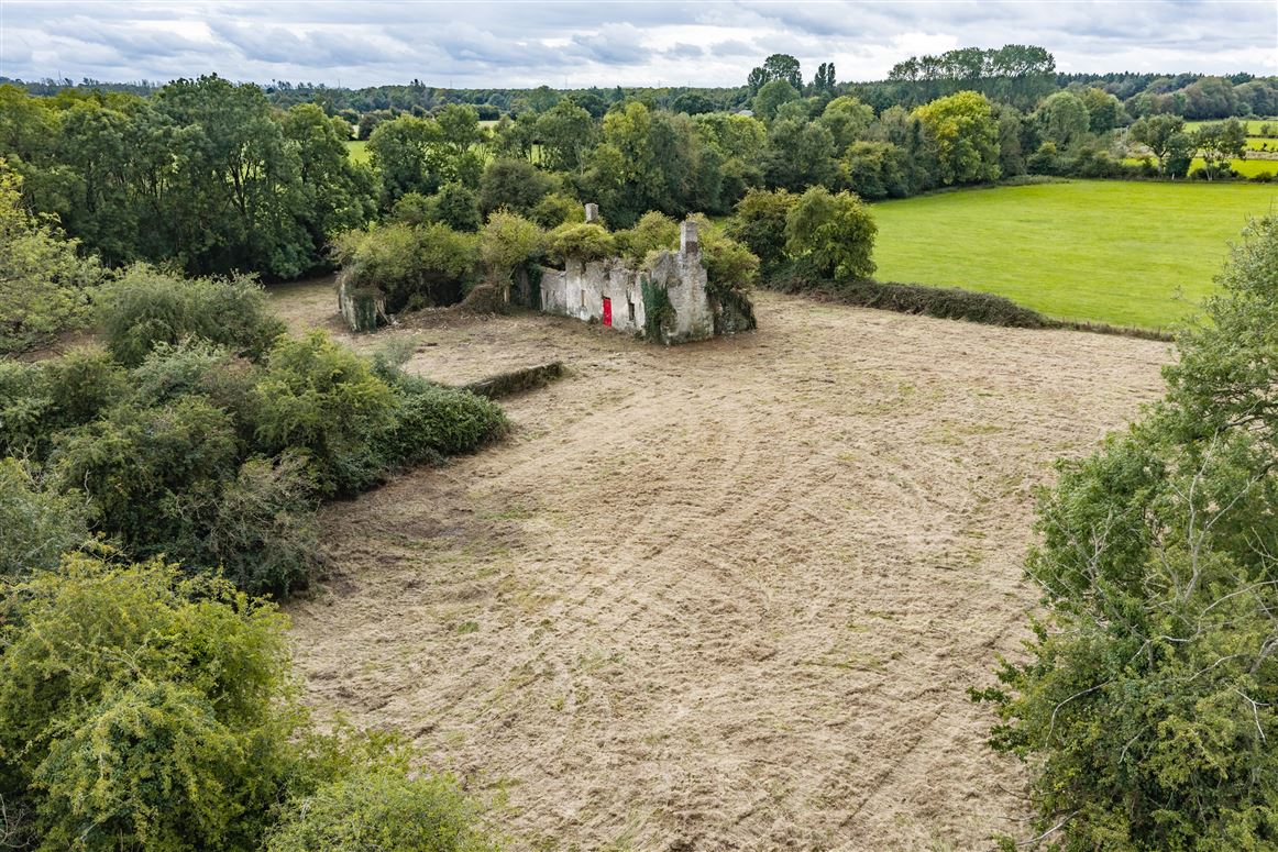 Derelict Property For Sale: Green Avenue, Naas, Co. Kildare
