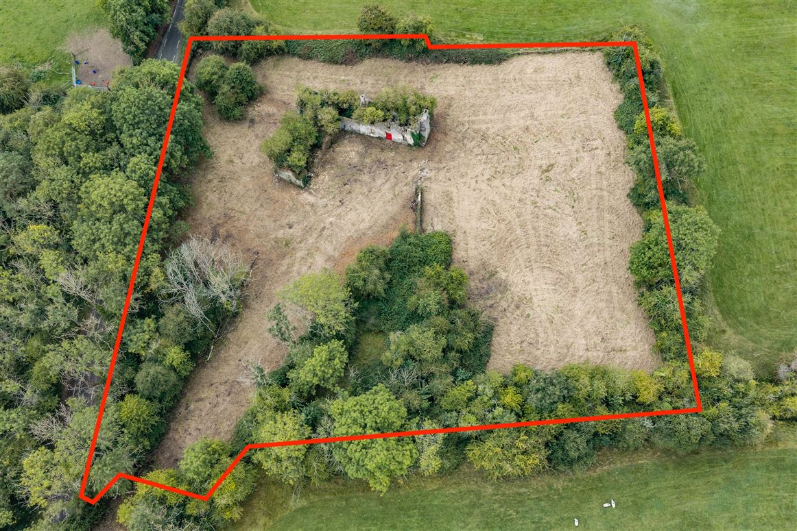 Derelict Property For Sale: Green Avenue, Naas, Co. Kildare
