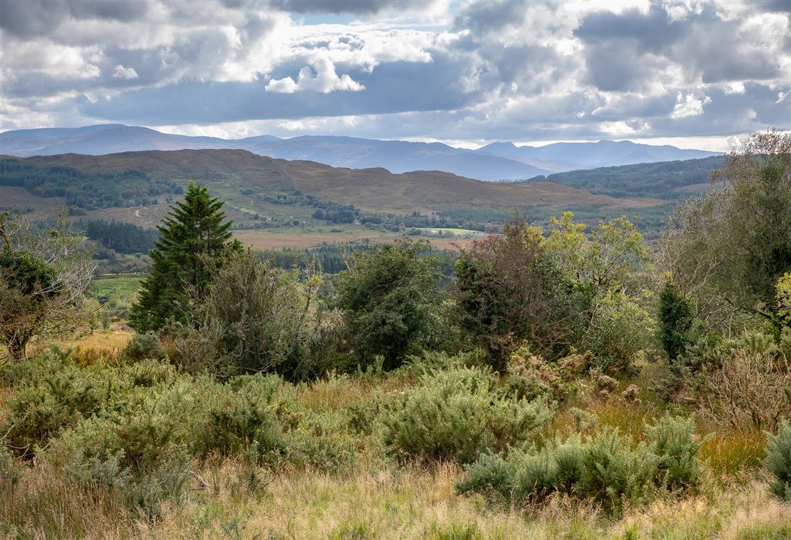 Renovated Cottage For Sale: Kilkeanna Cottage, Kilkeanna, Kenmare, Co. Kerry