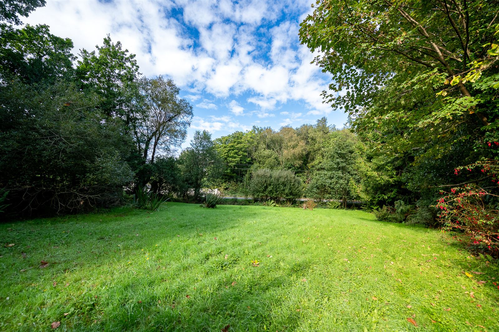 Renovated Cottage For Sale: River Cottage, Feorus East, Kenmare, Co. Kerry