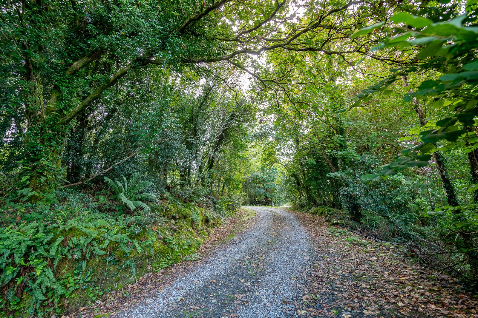 Renovated Cottage For Sale: River Cottage, Feorus East, Kenmare, Co. Kerry