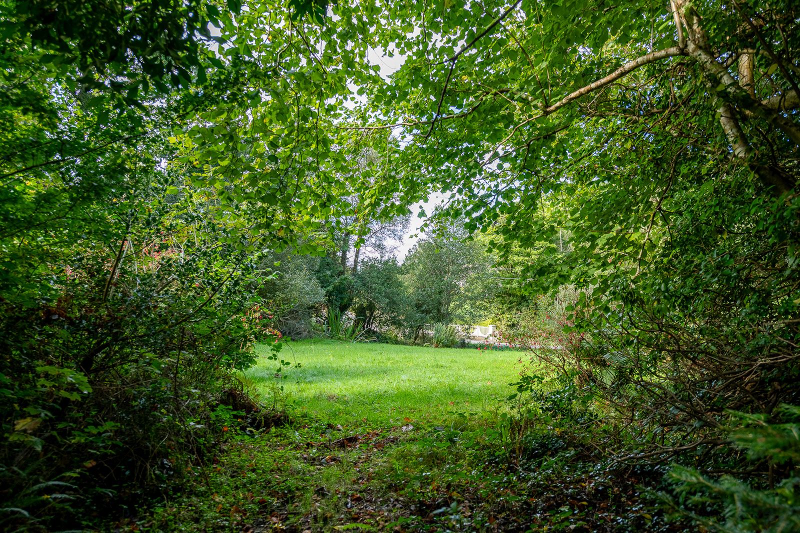 Renovated Cottage For Sale: River Cottage, Feorus East, Kenmare, Co. Kerry