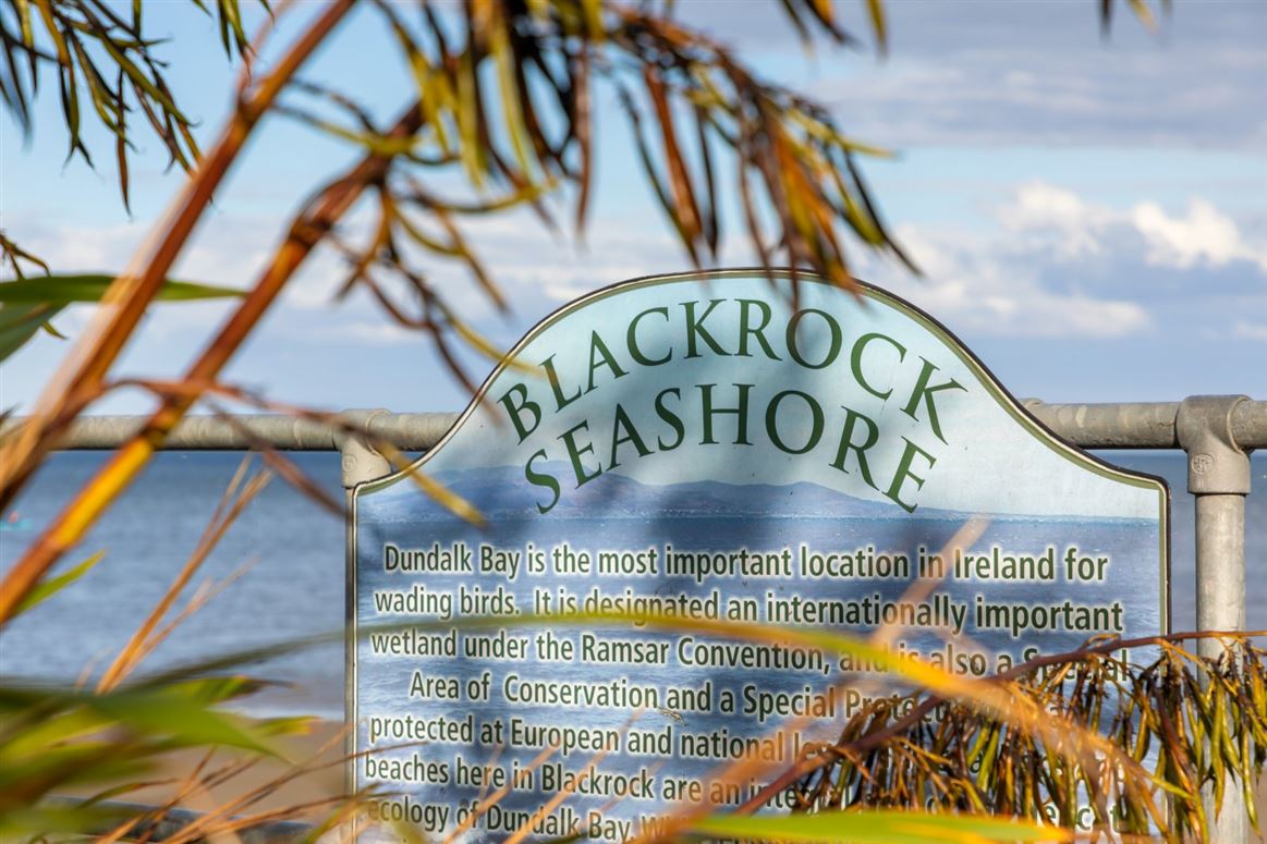 Period Home For Sale: Sea View, Sea Road, Blackrock, Co. Louth