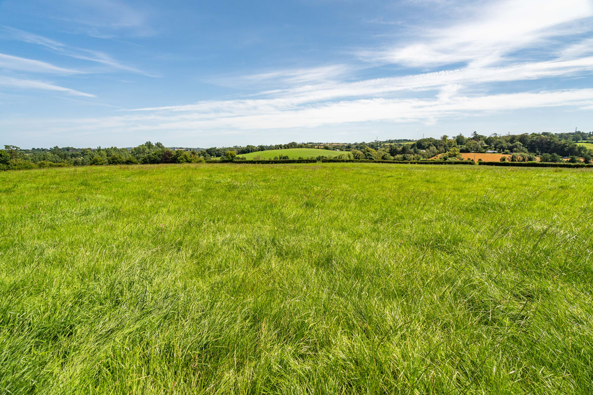 Period Residence and Farm For Sale: Ballyowan House and Farm, 44 and 50 Drumbeg Road, Dunmurry, Co. Down