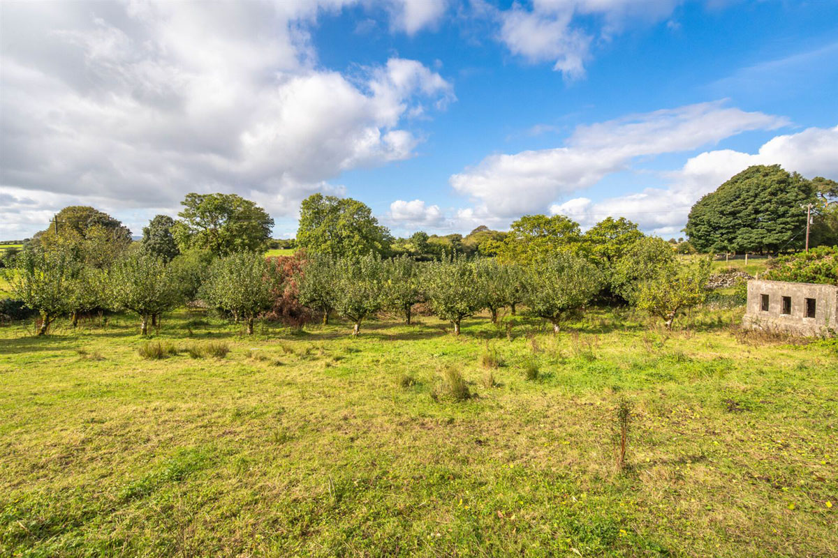 Period Home For Sale: Bunavaunish House, Mile Hill, Ballinrobe, Co. Mayo
