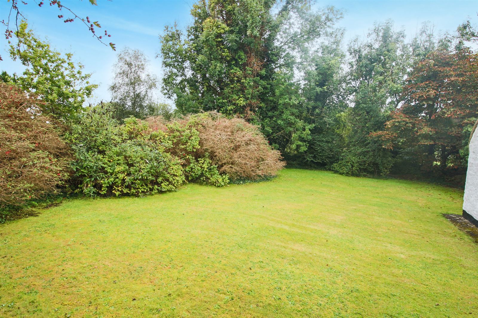 Thatched Cottage For Sale: Fionn MacCumhaill Cottage, Keshcarrigan, Carrick On Shannon, Co. Leitrim