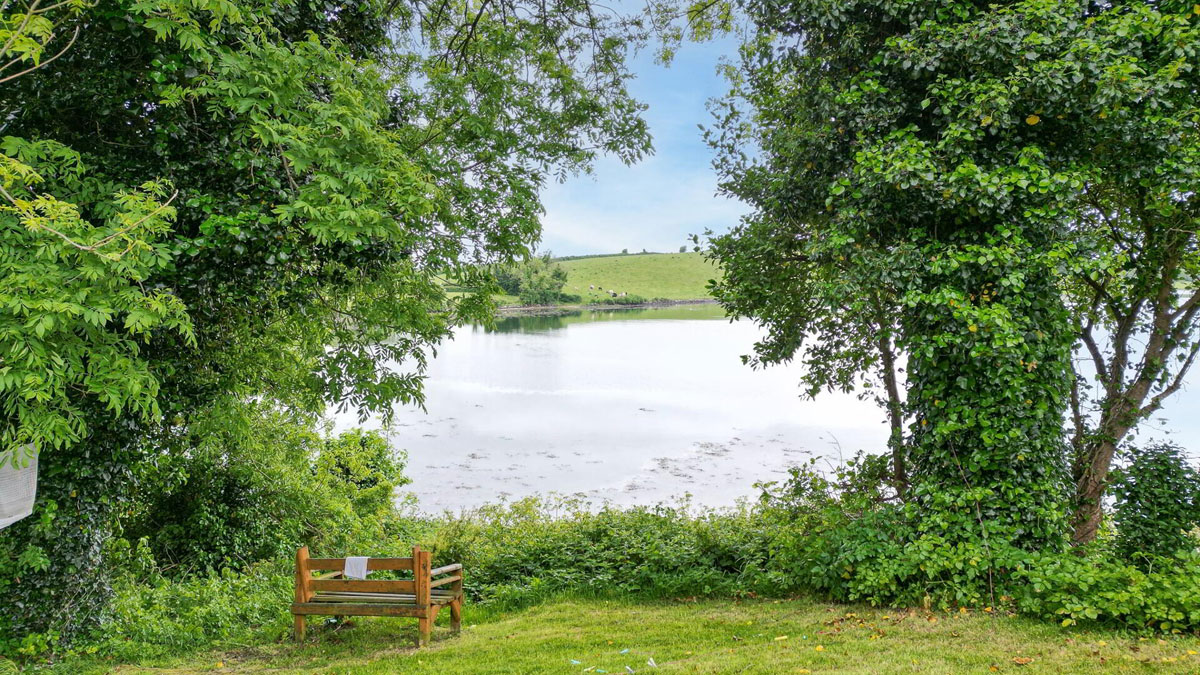 Traditional Farmhouse and Land For Sale: The Shore Farm, Myra Road, Downpatrick, Co. Down