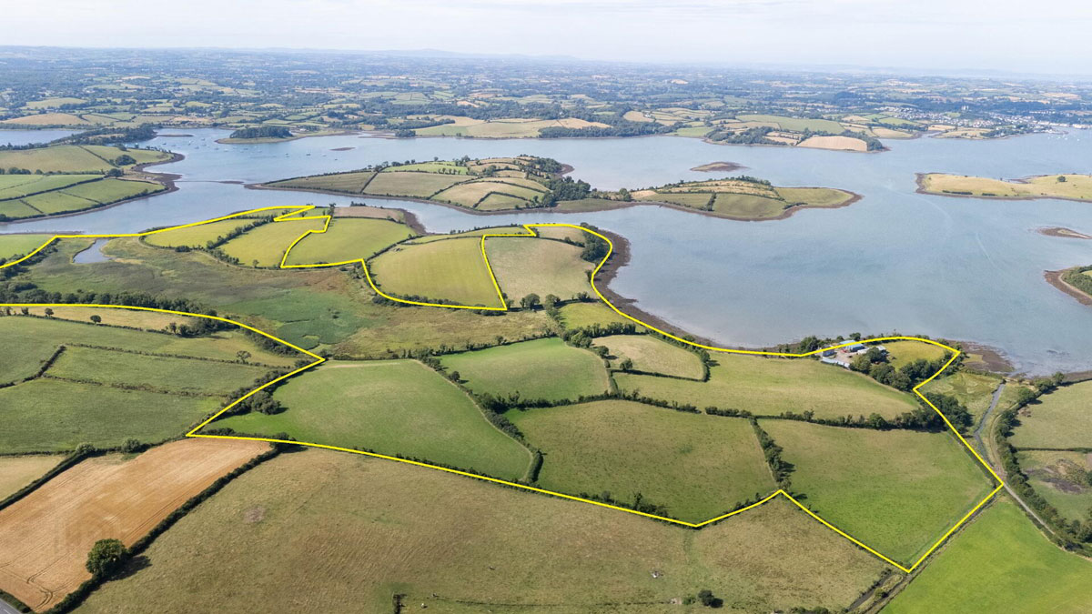 Traditional Farmhouse and Land For Sale: The Shore Farm, Myra Road, Downpatrick, Co. Down