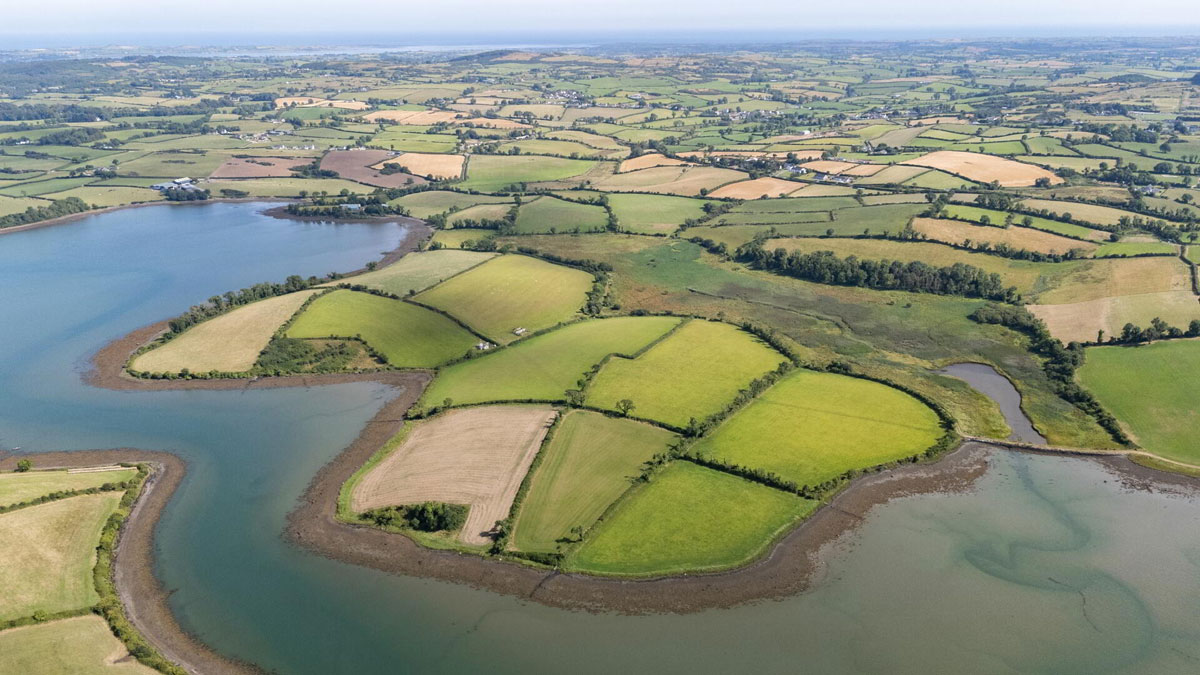 Traditional Farmhouse and Land For Sale: The Shore Farm, Myra Road, Downpatrick, Co. Down