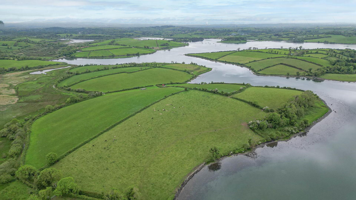 Traditional Farmhouse and Land For Sale: The Shore Farm, Myra Road, Downpatrick, Co. Down