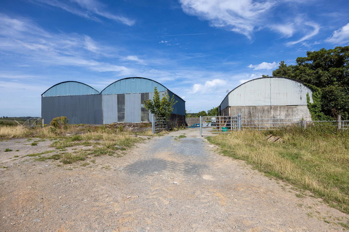Traditional Farmhouse and Land For Sale: The Shore Farm, Myra Road, Downpatrick, Co. Down