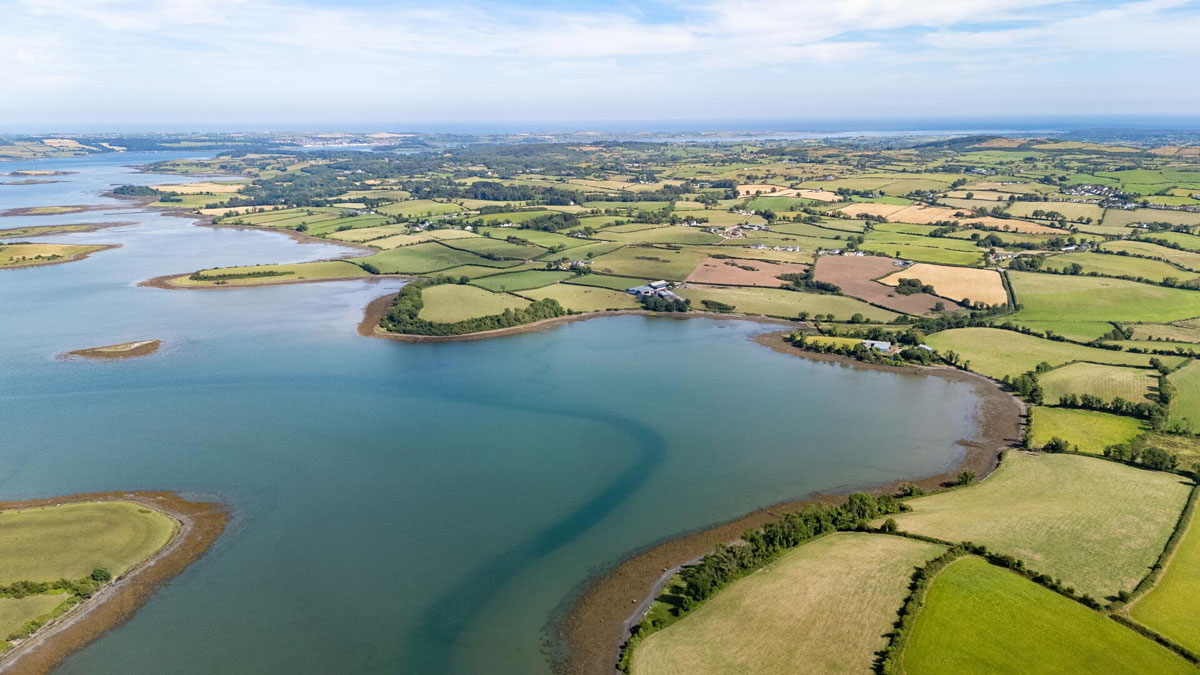 Traditional Farmhouse and Land For Sale: The Shore Farm, Myra Road, Downpatrick, Co. Down