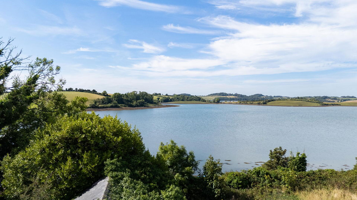 Traditional Farmhouse and Land For Sale: The Shore Farm, Myra Road, Downpatrick, Co. Down